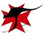 Australian Ski Patrol Association Logo